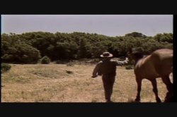 Captura de 'Amber Lynn Screws The Stars' nº 3