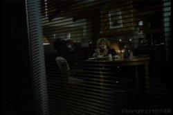 'Ron Jeremy Screws The Stars' screenshot nº 4