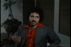 'Ron Jeremy Screws The Stars' screenshot nº 5