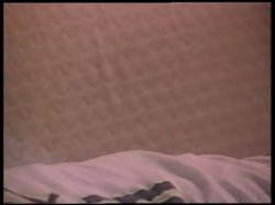 'Tom Byron Screws The Stars' screenshot nº 50