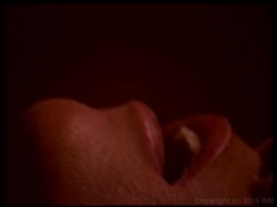'Tom Byron Screws The Stars' screenshot nº 56