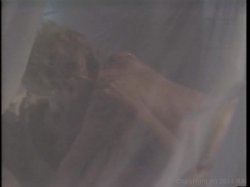 'Tom Byron Screws The Stars' screenshot nº 91