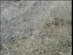 'Ultimate Anal' screenshot nº 35