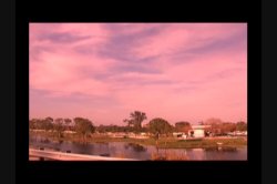 Captura de 'Canadian Girls Take Miami' nº 3