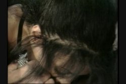 Captura de 'In the Bush' nº 39