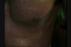 Captura de 'In the Bush' nº 47
