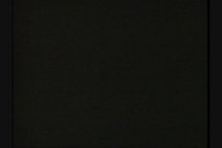 Captura de 'In the Bush' nº 1