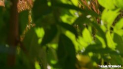 Captura de 'Lil Humpers 8' nº 3