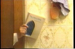 Captura de 'Wife Swap' nº 39