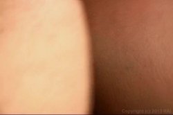 'Latin Anal Moms' screenshot nº 99