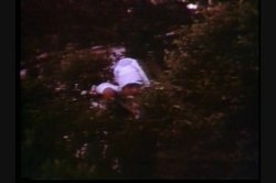 'Kay Parker's Knock Outs' screenshot nº 10