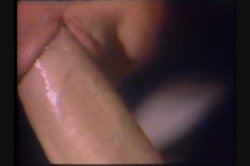 'Kay Parker's Knock Outs' screenshot nº 126