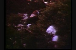 'Kay Parker's Knock Outs' screenshot nº 19