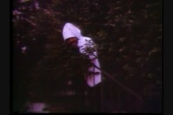 'Kay Parker's Knock Outs' screenshot nº 23