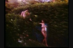 'Kay Parker's Knock Outs' screenshot nº 4