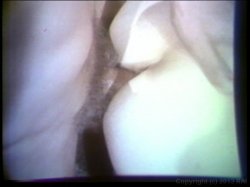 Captura de 'Snow Balling' nº 105