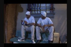 Captura de 'Official Boyz N The Hood Parody' nº 65