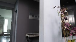 Captura de 'Filthy Family Vol. 11' nº 5