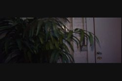 'Cum On My Hairy Pussy 5' screenshot nº 2
