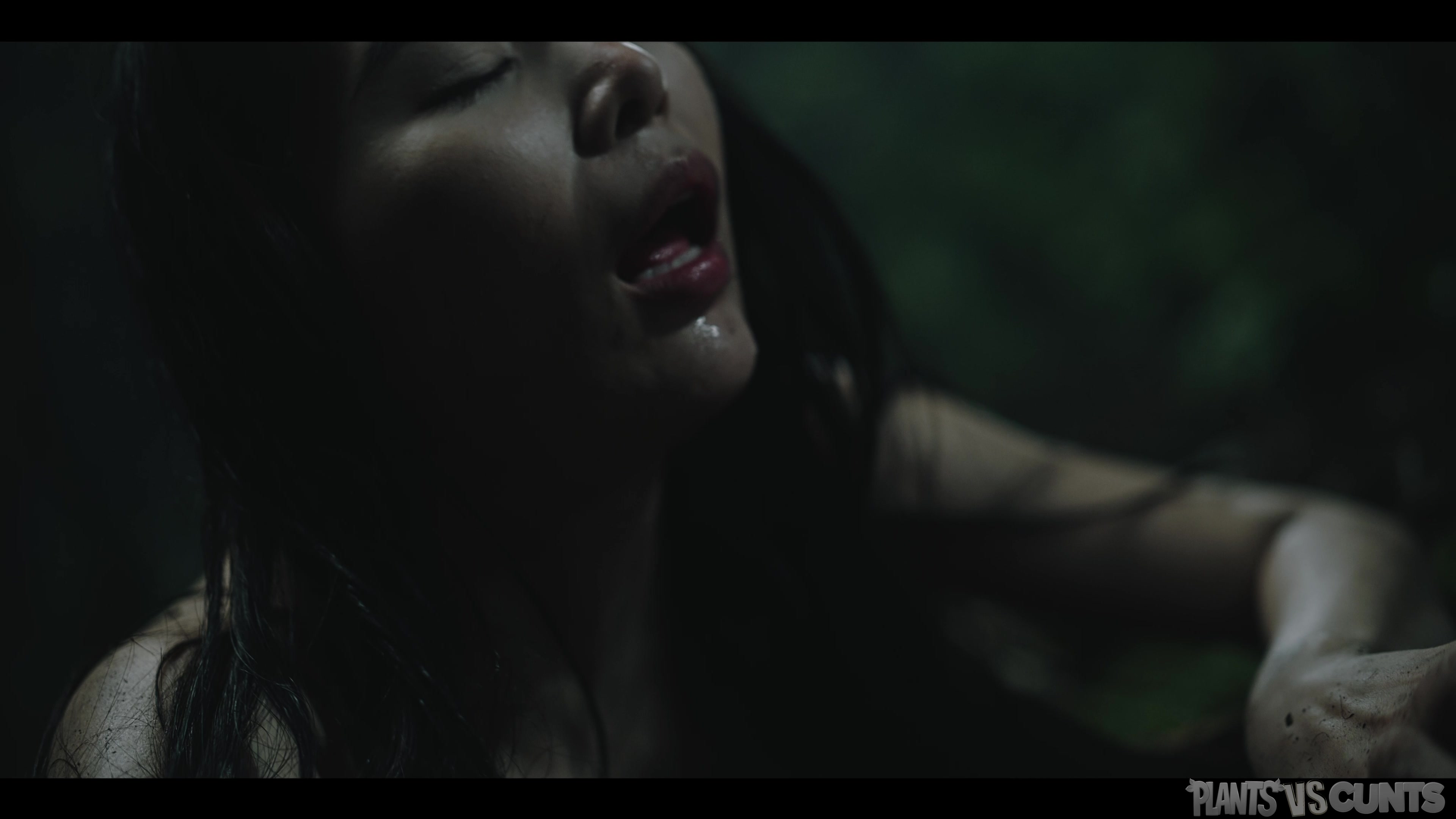 Plants vs Cunts Vol. 4