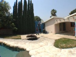 'Big Um Fat Black Freaks 3' screenshot nº 35