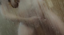 '4 Hrs Girl-on-Girl Passion' screenshot nº 40