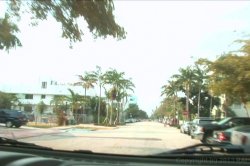Captura de 'South Beach Cruisin'' nº 5