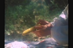 'Spirit of Seventy Sex' screenshot nº 80