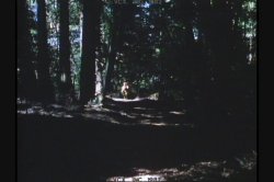 'Spirit of Seventy Sex' screenshot nº 103