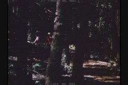 'Spirit of Seventy Sex' screenshot nº 127