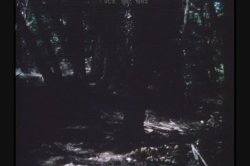 'Spirit of Seventy Sex' screenshot nº 128