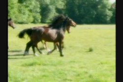 Captura de 'Open Legs, Open Minds' nº 106