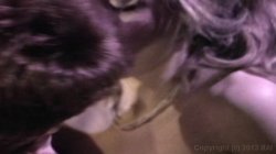 Captura de 'Up Desiree Lane' nº 61