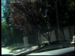 Captura de 'Only the Best of Seymore Butts 4' nº 117