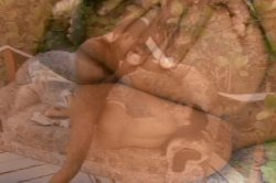 'Miss Big Ass Brazil 4' screenshot nº 116