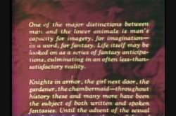 Captura de 'Teenage Fantasies' nº 3
