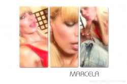 'Lingerie Shemale - MILF Secrets' screenshot nº 2