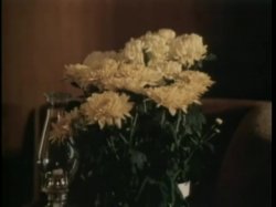 'Rhonda Jo Petty Double Feature - Sweet Dreams Suzan' screenshot nº 66