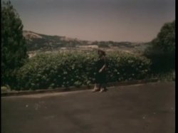 'Rhonda Jo Petty Double Feature - Sweet Dreams Suzan' screenshot nº 99