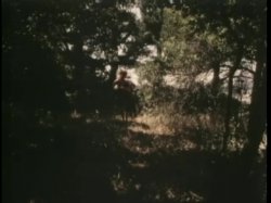 'Rhonda Jo Petty Double Feature - Sweet Dreams Suzan' screenshot nº 116