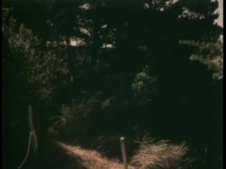 'Rhonda Jo Petty Double Feature - Sweet Dreams Suzan' screenshot nº 117