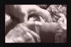 Captura de 'Cape Town 2' nº 122