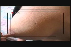 'World Class Latinas' screenshot nº 25