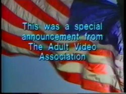 Captura de 'Hyapatia Lee's Arcade Series Volume 1' nº 11