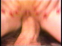 Captura de 'Young John Holmes Collection' nº 38