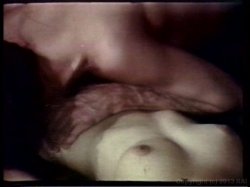 Captura de 'Young John Holmes Collection' nº 58