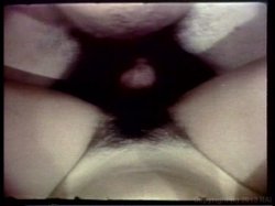 Captura de 'Young John Holmes Collection' nº 64