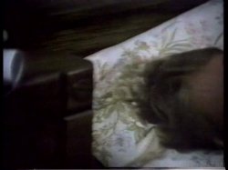 Captura de 'Young John Holmes Collection' nº 7