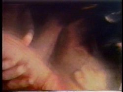 Captura de 'Young John Holmes Collection' nº 96