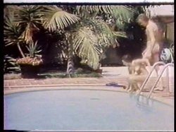 Captura de 'Young John Holmes Collection' nº 111